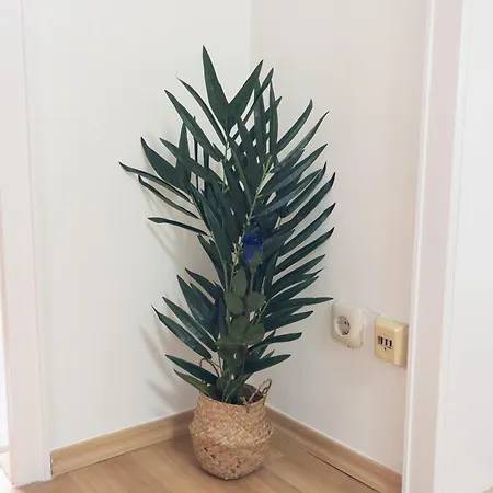 Franzis Nest * Бургхаузен